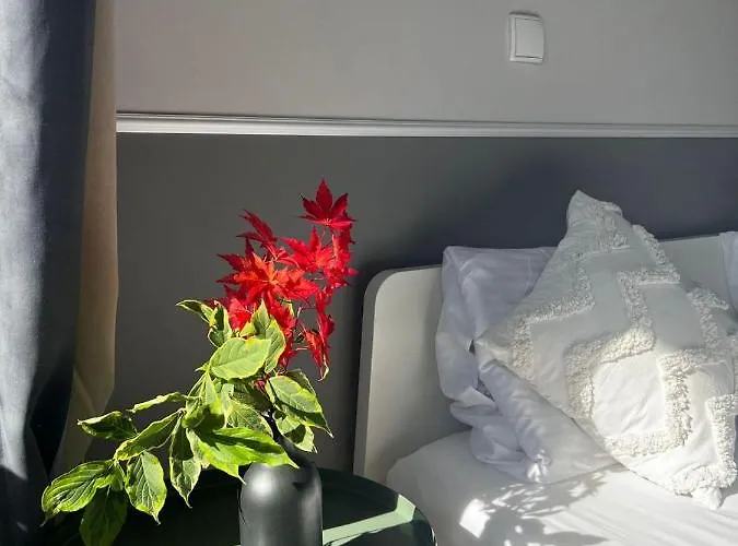 Invest Perla D6 Szklarska Poręba